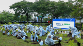 Proses penanaman 3.000 bibit pohon di Bandung. Foto: dok. BRI