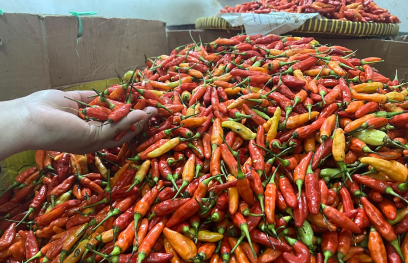 Pedagang menata cabai merah dan cabai rawit di pasar tradisional. Harga cabai mengalami kenaikan signifikan akibat pasokan berkurang dan cuaca ekstrem di sejumlah daerah.
(Credit Foto: Antara)