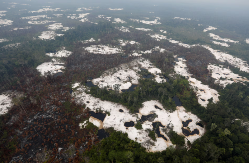Pemerintah Indonesia memperketat penindakan tambang ilegal dan pembalakan hutan. Foto menunjukkan aktivitas tambang ilegal yang merusak hutan lindung.
(Kredit/Sumber: Reuters)