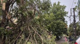 Sumber : (Pemprov.NTB)