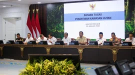 Pemerintah Mengakhiri Hak Usaha 28 Perusahaan di Area Hutan (Foto: Indomedia.co)