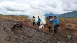 Pembukaan Lahan Tidur Di Desa Gedang Kecamatan Sungai Penuh Kota Sungai Penuh