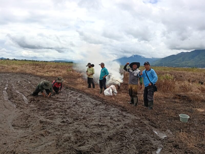 Pembukaan Lahan Tidur Di Desa Gedang Kecamatan Sungai Penuh Kota Sungai Penuh