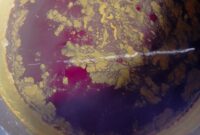 Segudang Manfaat Ramuan Belerang Untuk Padi