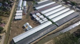 Poto : Suara.com/Antara