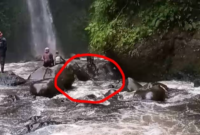 Proses PencarianWarga Kerinci Hanyut di Sungai Pulau Lebar Solok Selatan.
(Foto: Cuitan.id)