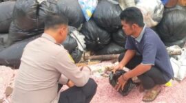 Cacahan kertas diduga uang Rp 100 ribu banyak ditemukan di TPS liar di Kabupaten Bekasi diduga dibuang untuk jadi urukan. Polisi uji labfor cacahan uang itu. (dok. Polres Bekasi)