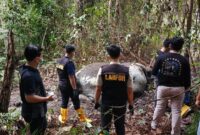 Gajah Sumatera mati dengan kondisi kepala ditembak di Pelalawan, Riau. (dok. Kemenhut)
