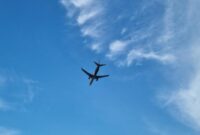 Foto: Ilustrasi pesawat terbang (Haris/detikcom)