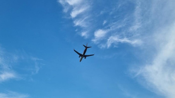 Foto: Ilustrasi pesawat terbang (Haris/detikcom)