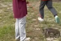 Tangkapan layar video seekor kucing ditendang oleh seorang pria di Kabupaten Blora. Foto: Dok Instagram @faridaarz