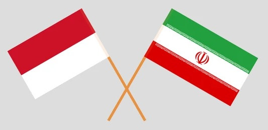 Indonesia dan Iran Jalin Hubungan Diplomatik Sejak 1950, Kini Terus Perkuat Kerja Sama
