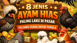 8 Jenis Ayam Hias Paling Laku & Prospektif