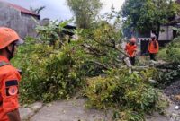 Angin puting beliung menerjang wilayah Kecamatan Undaan, Kudus, Senin (30/3/2026). (Dok. Relawan Undaan Kudus)