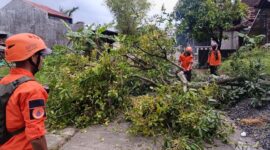 Angin puting beliung menerjang wilayah Kecamatan Undaan, Kudus, Senin (30/3/2026). (Dok. Relawan Undaan Kudus)