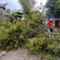 Angin puting beliung menerjang wilayah Kecamatan Undaan, Kudus, Senin (30/3/2026). (Dok. Relawan Undaan Kudus)