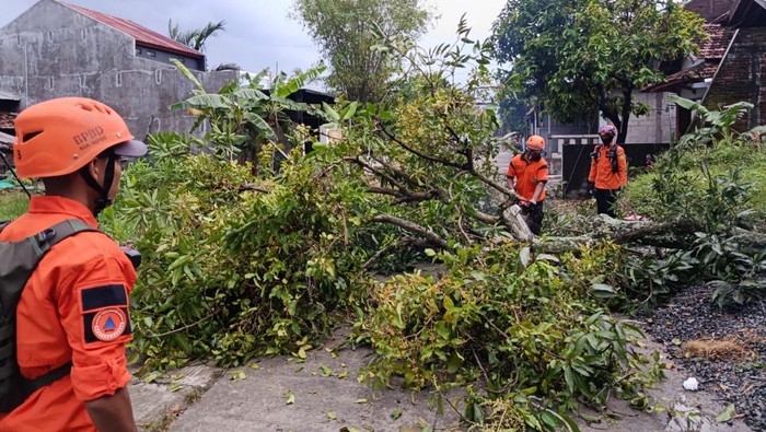 Angin puting beliung menerjang wilayah Kecamatan Undaan, Kudus, Senin (30/3/2026). (Dok. Relawan Undaan Kudus)