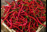 Harga Cabai Diprediksi Turun pada Minggu Ketiga Ramadan, Ini Penyebabnya