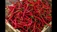 Harga Cabai Diprediksi Turun pada Minggu Ketiga Ramadan, Ini Penyebabnya