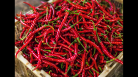 Harga Cabai Diprediksi Turun pada Minggu Ketiga Ramadan, Ini Penyebabnya