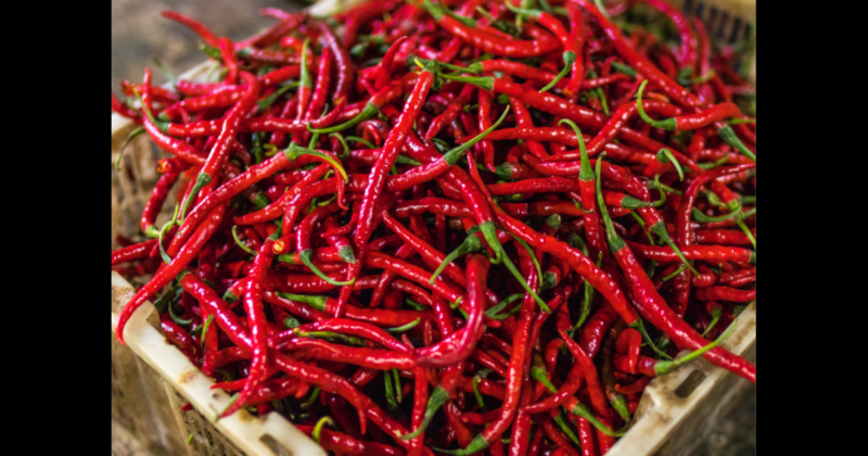 Harga Cabai Diprediksi Turun pada Minggu Ketiga Ramadan, Ini Penyebabnya