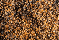 Tidak Lagi Terbuang, Kulit Kopi Jadi Andalan Warga Tendambonggi