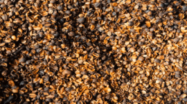 Tidak Lagi Terbuang, Kulit Kopi Jadi Andalan Warga Tendambonggi