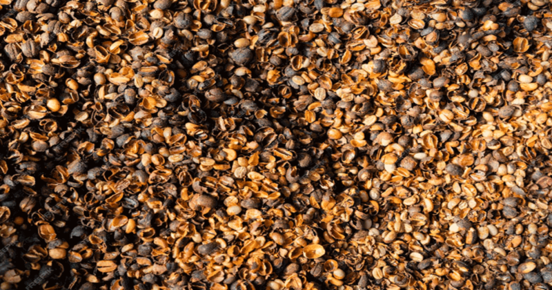 Tidak Lagi Terbuang, Kulit Kopi Jadi Andalan Warga Tendambonggi