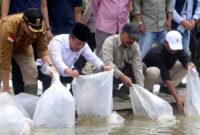 Bupati Monadi Dampingi Gubernur Al Haris Lepas 10.000 Benih Ikan di Bendungan PLTA Kerinci