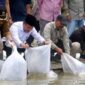 Bupati Monadi Dampingi Gubernur Al Haris Lepas 10.000 Benih Ikan di Bendungan PLTA Kerinci