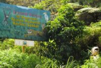 Perbatasan kawasan TNKS di Provinsi Jambi. (Foto: Istimewa/Bangun Santoso)