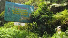 Perbatasan kawasan TNKS di Provinsi Jambi. (Foto: Istimewa/Bangun Santoso)