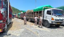 Distribusi Ternak NTB 2026 Makin Lancar, Ini Rahasia di Baliknya! (Poto : dok. Pemprov.NTB )