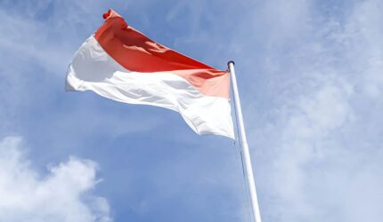 survei LSI bela negara Indonesia