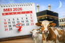Ilustrasi prediksi Lebaran Haji 2026 yang diperkirakan jatuh pada 27 Mei, ditandai pada kalender dengan latar Ka’bah dan hewan kurban.