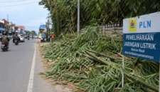 Ilustrasi Petugas melakukan pembersihan sisa ranting bambu hasil pemangkasan jaringan listrik di Jalan Soekarno-Hatta, Sungai Penuh.
