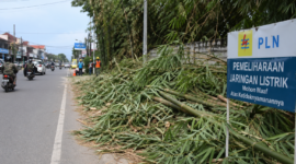 Ilustrasi Petugas melakukan pembersihan sisa ranting bambu hasil pemangkasan jaringan listrik di Jalan Soekarno-Hatta, Sungai Penuh.