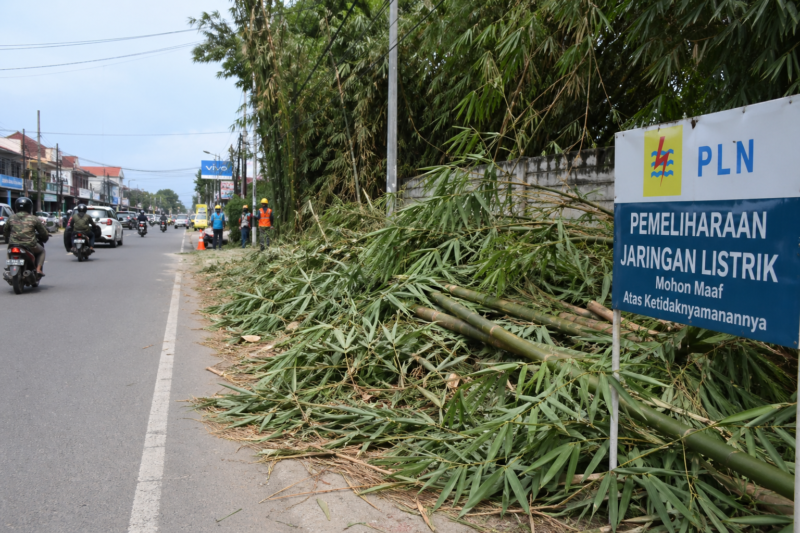 Ilustrasi Petugas melakukan pembersihan sisa ranting bambu hasil pemangkasan jaringan listrik di Jalan Soekarno-Hatta, Sungai Penuh.