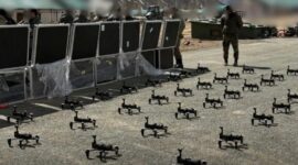 India Tuntaskan Pengadaan Ratusan Drone Kamikaze Lokal Hanya dalam 2 Bulan ( dok.inside FPV/AIRSPACE REVIEW )