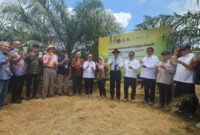 Serangga Penyerbuk Resmi Dilepas, Produktivitas Sawit RI Ditargetkan Naik ( dok.majalah Sawit Indonesia )