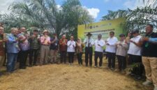 Serangga Penyerbuk Resmi Dilepas, Produktivitas Sawit RI Ditargetkan Naik ( dok.majalah Sawit Indonesia )