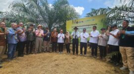 Serangga Penyerbuk Resmi Dilepas, Produktivitas Sawit RI Ditargetkan Naik ( dok.majalah Sawit Indonesia )