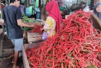 Tingginya harga cabai merah di Pasar Tanjung Bajure membuat ibu rumah tanggai mengurangi porsi belanja. (dok/metrojambi.com)