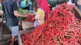 Tingginya harga cabai merah di Pasar Tanjung Bajure membuat ibu rumah tanggai mengurangi porsi belanja. (dok/metrojambi.com)
