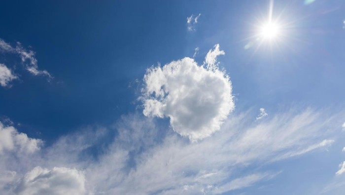 Foto: Ilustrasi musim kemarau (Engin Akyurt/Pexels)