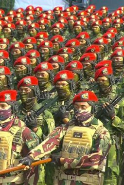 Istana Tegaskan Tak Akan Tarik TNI dari Misi Perdamaian di Lebanon