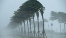 BMKG Peringatkan Gelombang Tinggi hingga 4 Meter pada 13–16 April 2026 (dok.Universitas Muhammadiyah Surabaya)