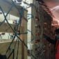 Ratusan Ternak dari Australia Tiba di Indonesia untuk Perkuat Ketahanan Pangan ( dok.detikfinance )
