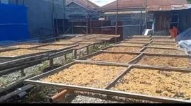 Foto: RRI Sungai Penuh/Asep Sanjaya