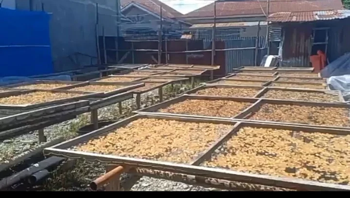 Foto: RRI Sungai Penuh/Asep Sanjaya